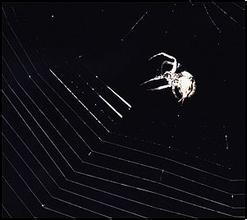 ���¸߿Ƽ����Ӳ�Ʒ��Ƶ����ǰ���簲ȫ������չ��...